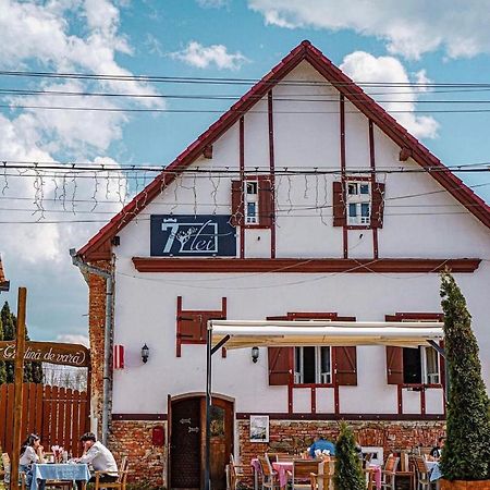 Pensiunea 7 Tei Kisdisznód Kültér fotó