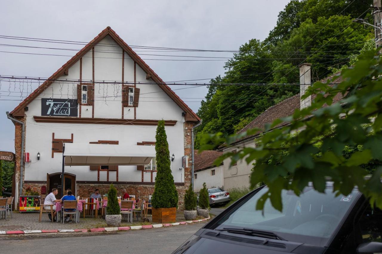 Pensiunea 7 Tei Kisdisznód Kültér fotó